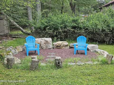 Black Birch, TOBYHANNA, PA 18466