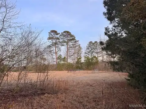 County Road 15, Wedowee, AL 36278