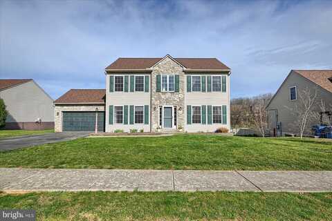 Brendan, MOUNT WOLF, PA 17347