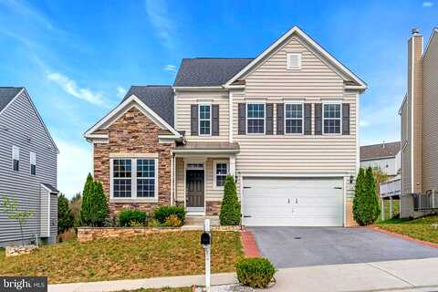 Megan, STEPHENSON, VA 22656
