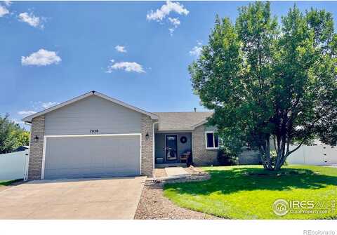 Mount Nimbus, WELLINGTON, CO 80549