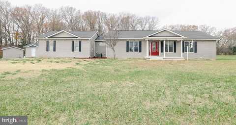Kelly Meadows, WARRENTON, VA 20187
