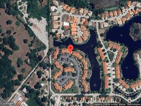 Dali, LAND O LAKES, FL 34637