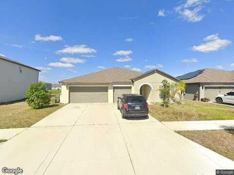 Field Thistle, RIVERVIEW, FL 33579