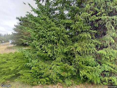 192Nd, STANWOOD, WA 98292