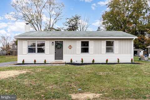 Martin, MOUNT JOY, PA 17552