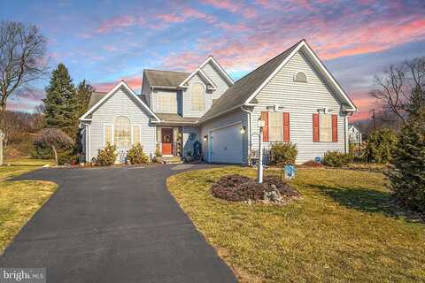 Wildflower, MOUNTVILLE, PA 17554