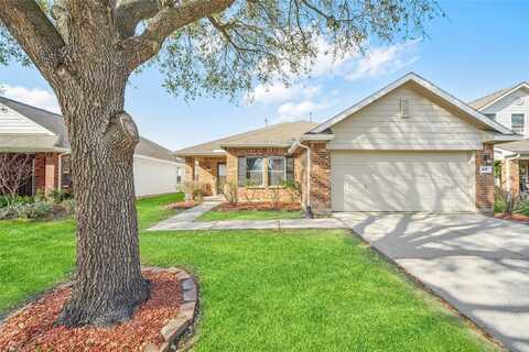 Rosalinda, HOUSTON, TX 77073