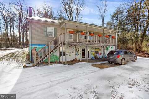 Animal, MILLERSTOWN, PA 17062