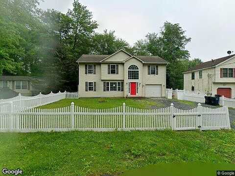 Fern, POCONO SUMMIT, PA 18346