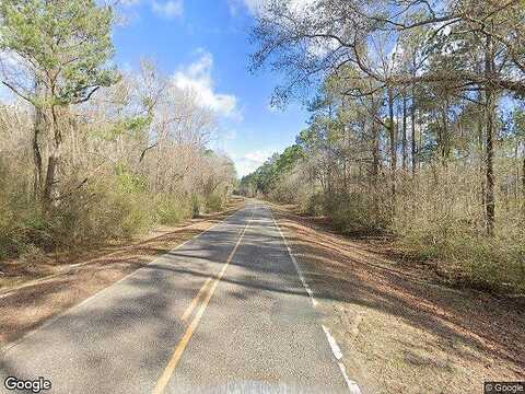 Stage Coach Rd, Meigs, GA 31765