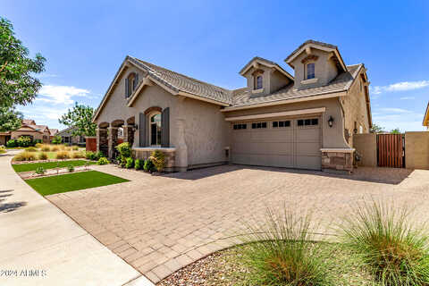 Jesse, GILBERT, AZ 85295
