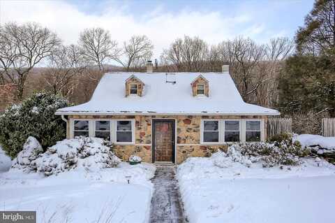 Mountain, DAUPHIN, PA 17018