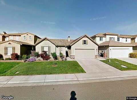Dandelion, ELK GROVE, CA 95624