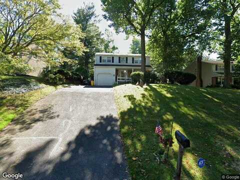 Falcon, GLENSIDE, PA 19038
