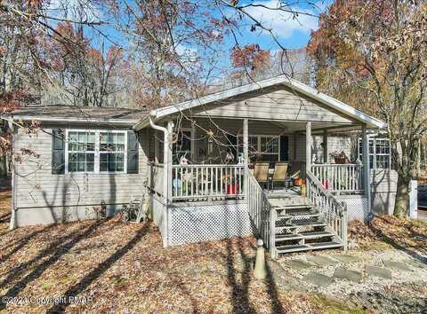 Blackberry, JIM THORPE, PA 18229