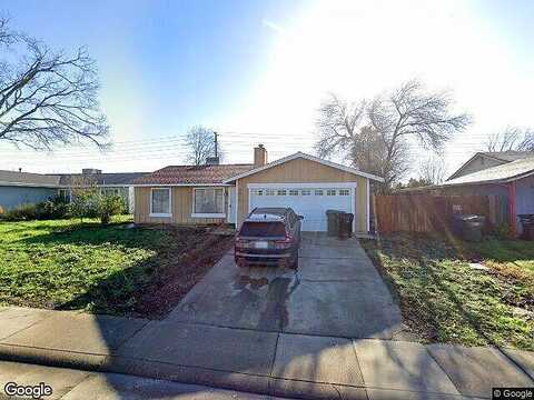 Kingbird, SACRAMENTO, CA 95842