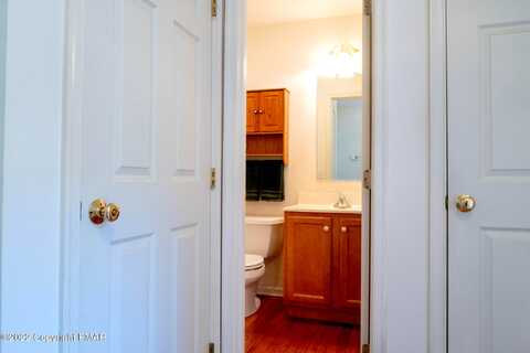 Palomino, BANGOR, PA 18013