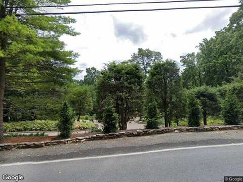 Honeysuckle, BETHLEHEM, PA 18015