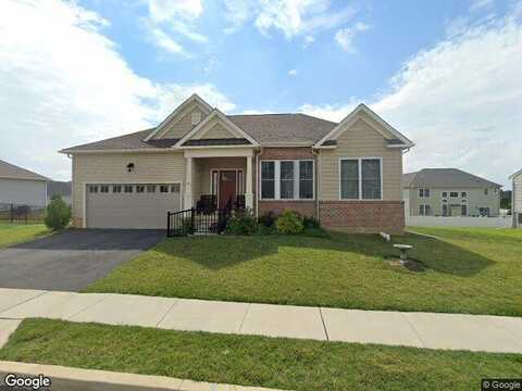 Josie, BETHLEHEM, PA 18020