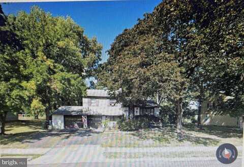 Maple, WILLOW GROVE, PA 19090