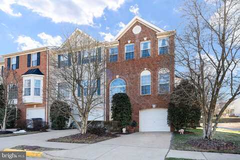 Carmela, SPRINGFIELD, VA 22153
