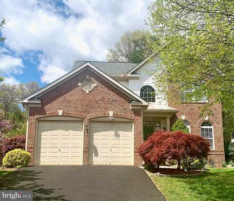 Ambrose, SPRINGFIELD, VA 22153