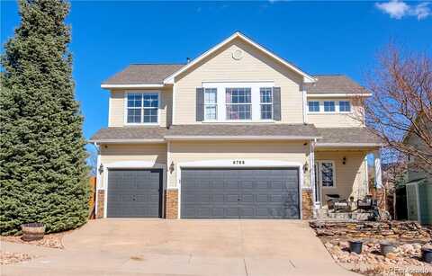 Bundleflower, COLORADO SPRINGS, CO 80923