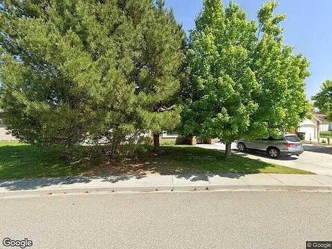 Warbler, WEST RICHLAND, WA 99353
