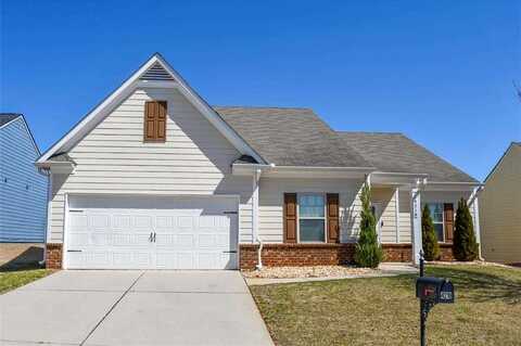 Swamp Cypress, GAINESVILLE, GA 30504