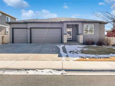 River Birch, WELLINGTON, CO 80549