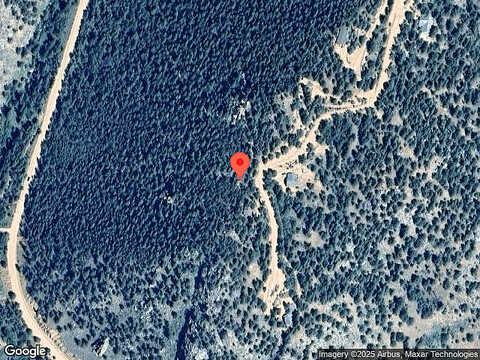 Blue Spruce, DIVIDE, CO 80814