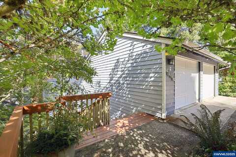 Camellia, SALEM, OR 97302