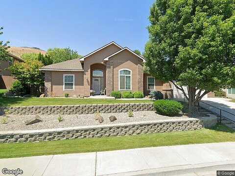 Bear, RICHLAND, WA 99352