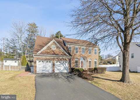 Peach Leaf, FAIRFAX, VA 22030