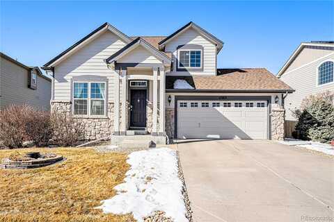 Jersey, THORNTON, CO 80233