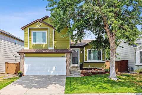 Hyacinth, HIGHLANDS RANCH, CO 80129