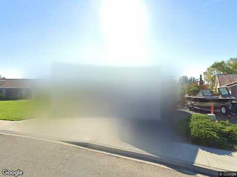 Ficus, WEST RICHLAND, WA 99353