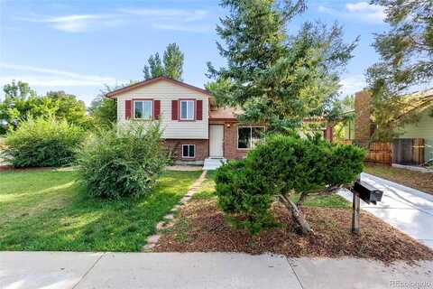 Stanford, LITTLETON, CO 80123