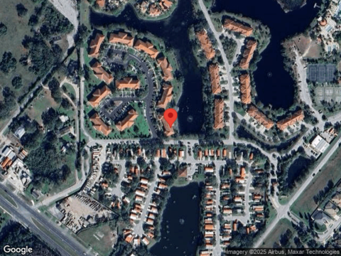 Dali, LAND O LAKES, FL 34637
