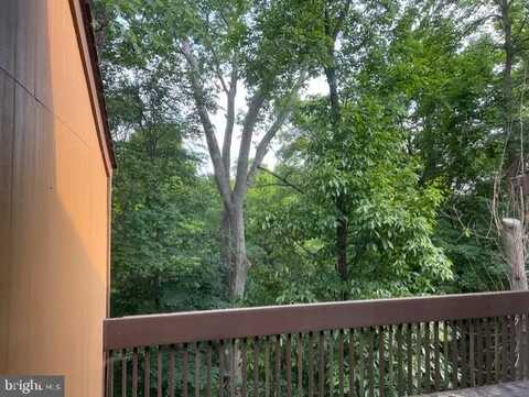 9 SMOKE RISE #9B, NEW HOPE, PA 18938