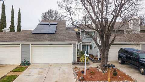 Apple Tree, LIVERMORE, CA 94551