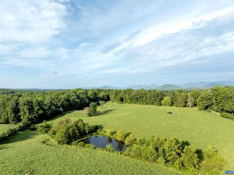 Amicus, STANARDSVILLE, VA 22973