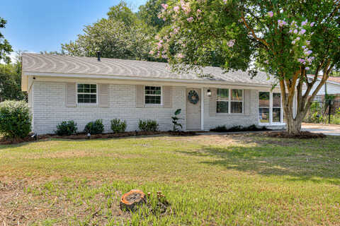 Abelia, AUGUSTA, GA 30906