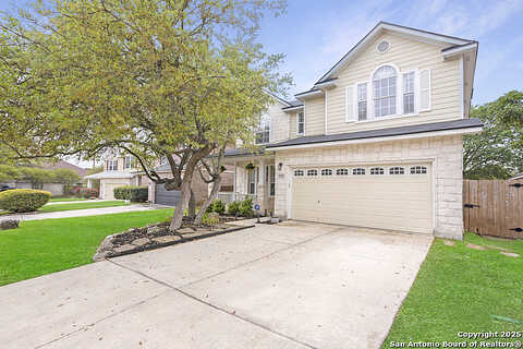 Persian, SAN ANTONIO, TX 78260