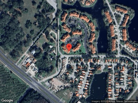 Picasso, LAND O LAKES, FL 34637