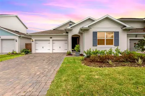 Allium, ORLANDO, FL 32827