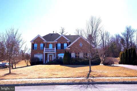 Sycamore, QUAKERTOWN, PA 18951