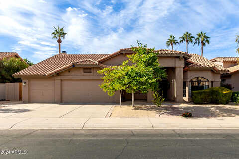 Iris, GILBERT, AZ 85233