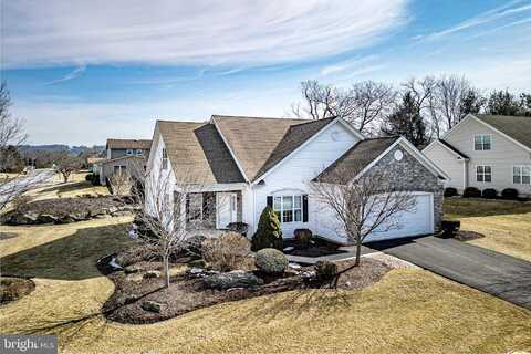 Hedgerow, EASTON, PA 18040